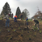 Going down the hillside 3. Cambridge Tree Trust